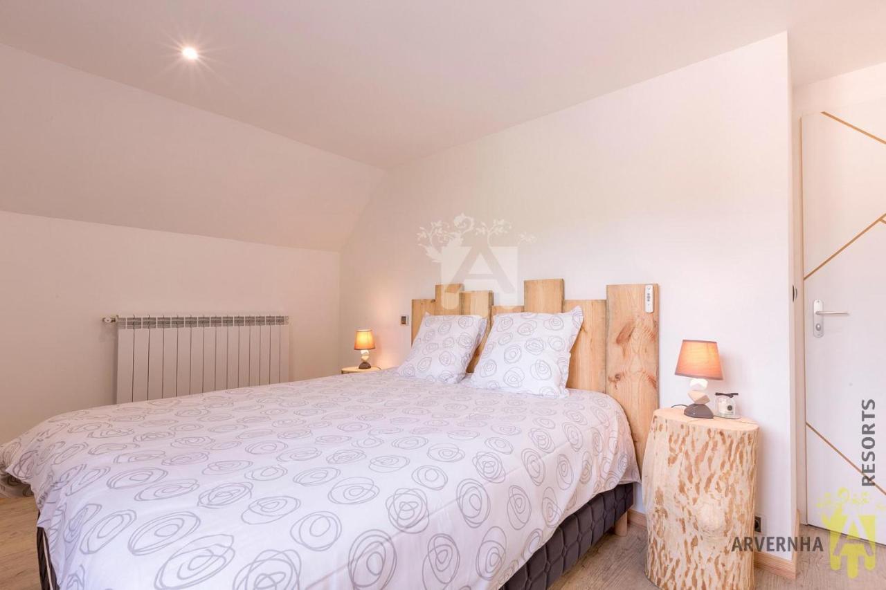Gite Haumea Spa Chambon-sur-Lac Extérieur photo